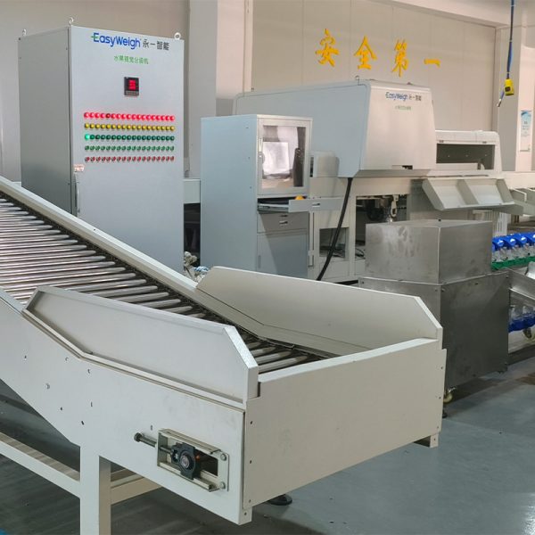 fruit and vegetable optical sorting system