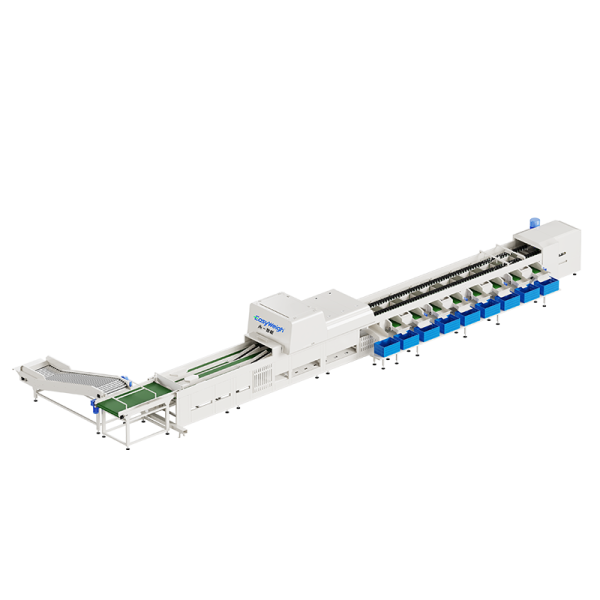 fruit and vegetable optical sorting system