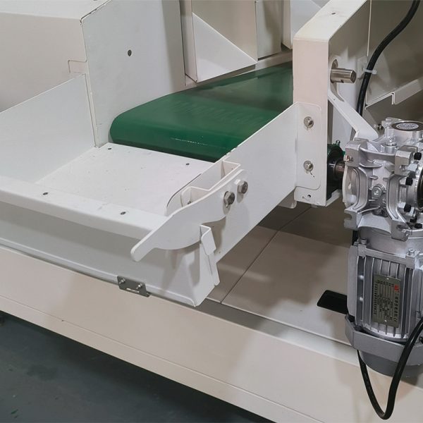 fruit and vegetable optical sorting system