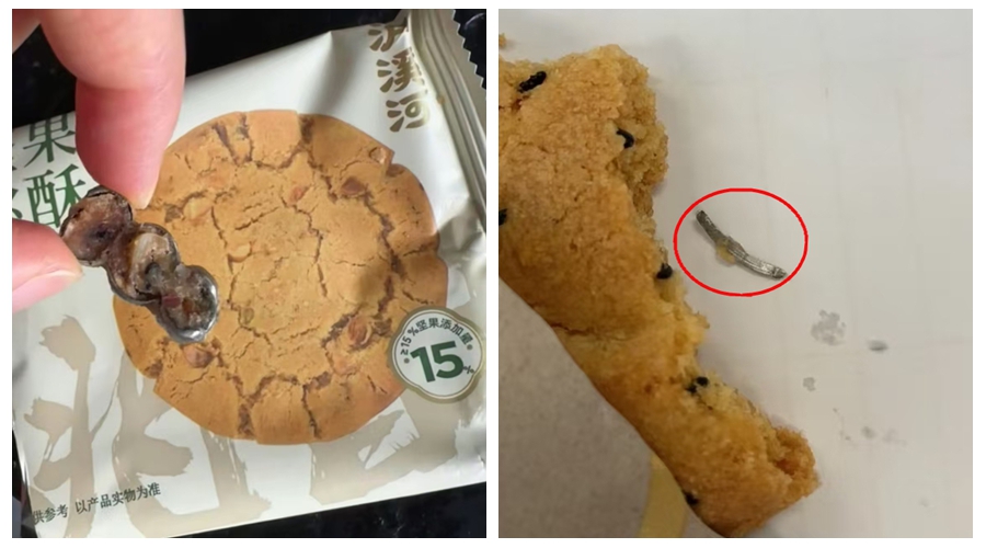 桃酥异物全景图_坚果桃酥金属异物_桃酥食品安全案例
