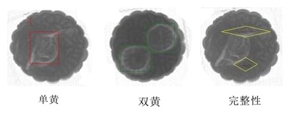 伏特曼检测设备实体外观展示